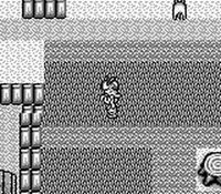 une photo d'Ã©cran de Harvest Moon GB sur Nintendo Game Boy